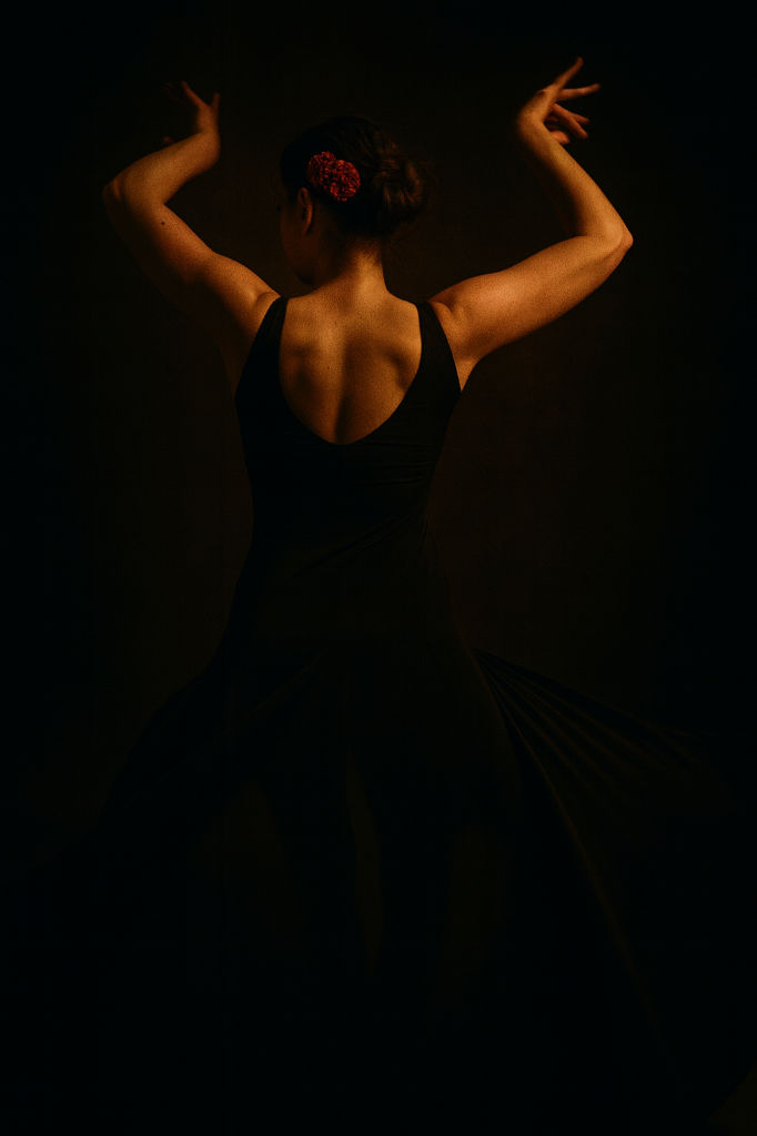 fl website 1