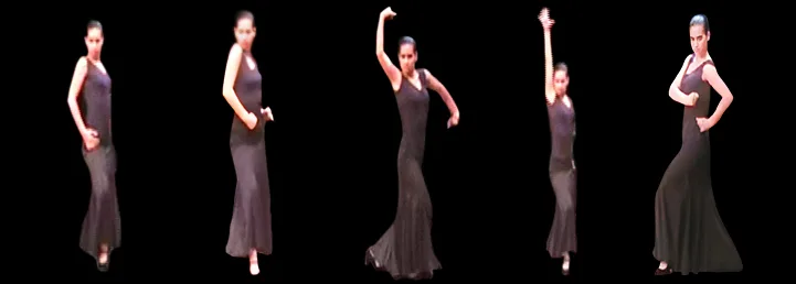 flamenco collage 1