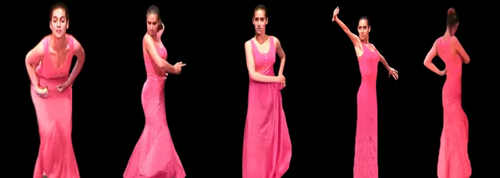 flamenco collage